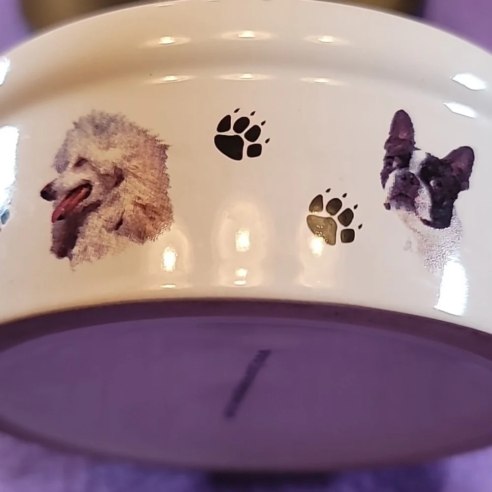 0774. BowWowMeow's Ceramic Decorative Bowl for Small Pet Dogs ~ So classy & Cute